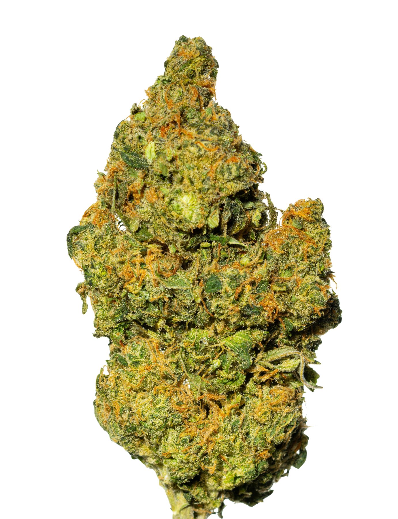 Cannamedical Hybrid Forte NM Gorilla Zkittlez Online Kaufen