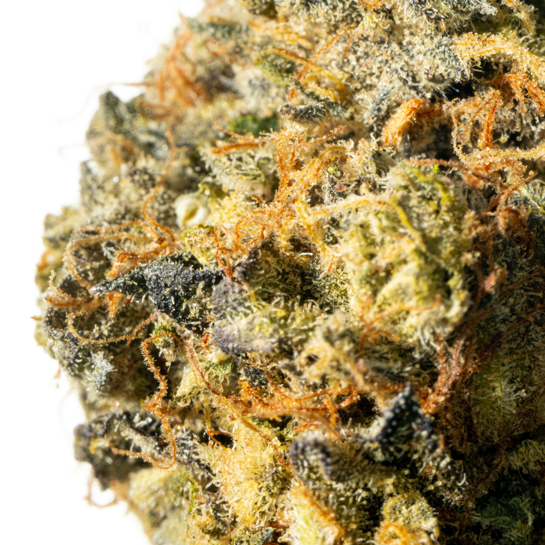 Cannamedical Sativa classic VenomZ Eve Online Kaufen