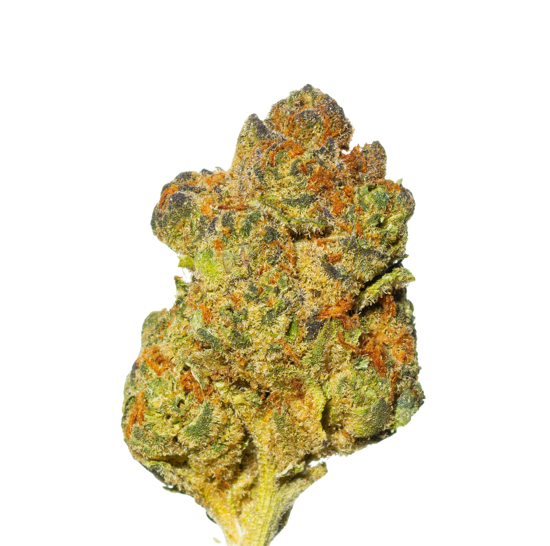 Cannamedical Indica Classic 20/1 ZAF Dank Wafers Online Kaufen