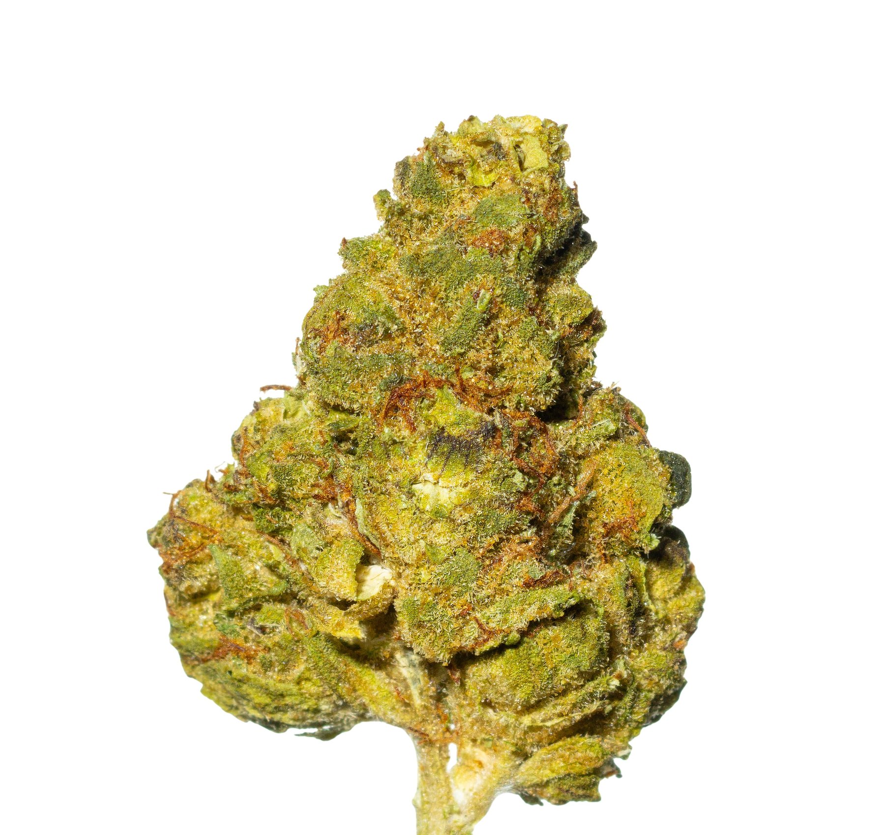 Cannamedical Indica Forte SM Pineapple Express Online Kaufen